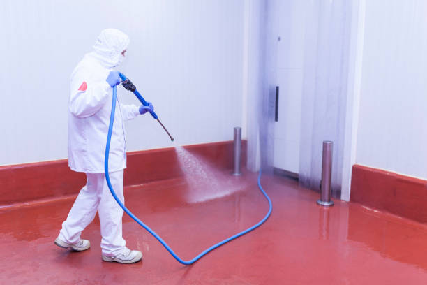 Trusted Atlanta, TX Pressure Washing Services Experts